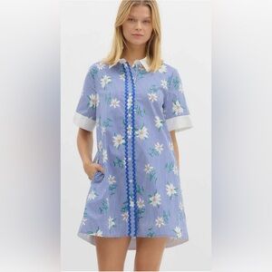 Entro Blue Floral Striped Mini Dress